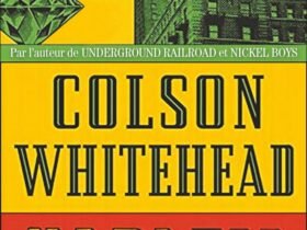 Harlem Shuffle, Colson Whitehead,