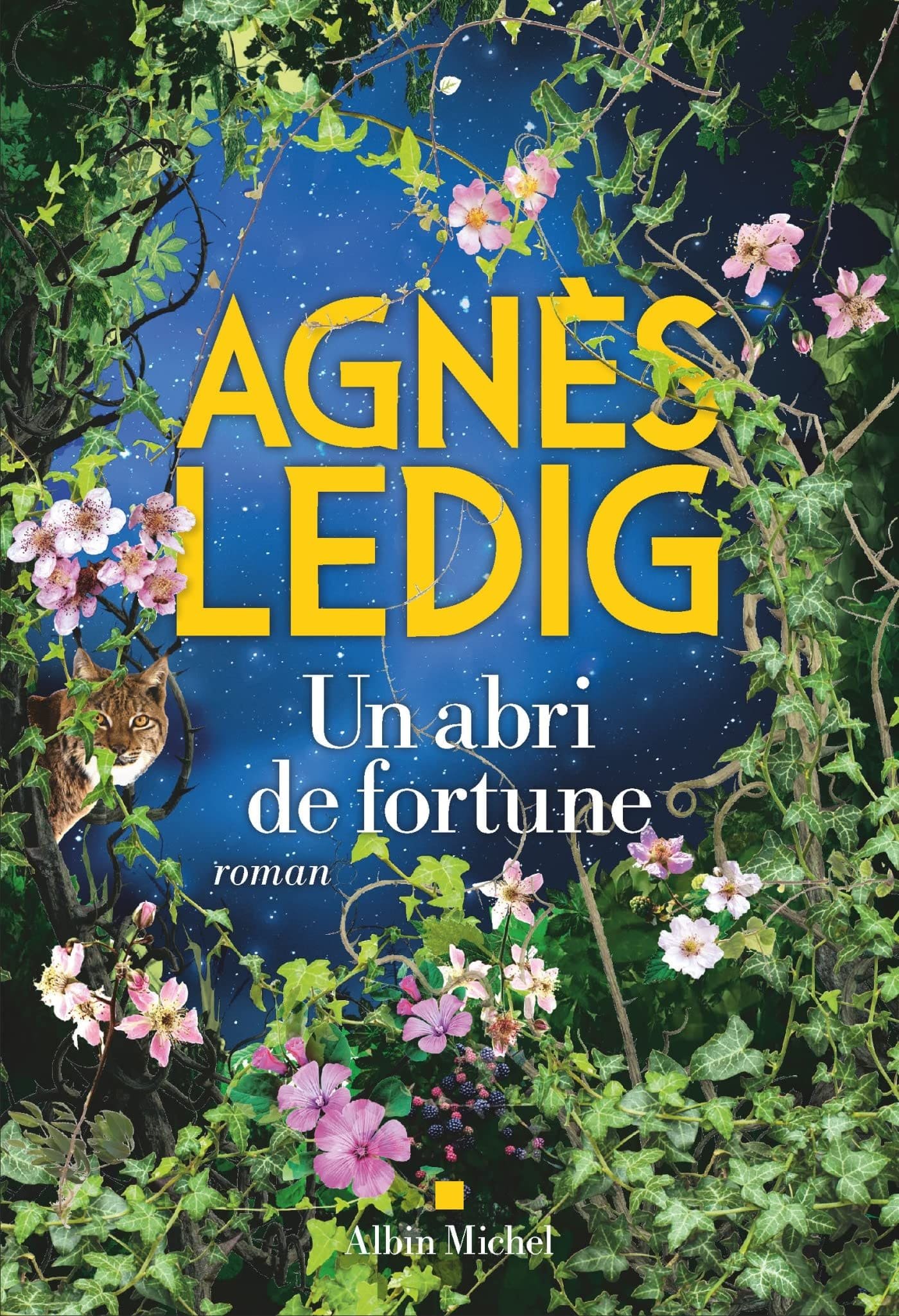 Un abri de fortune, Agnès Ledig