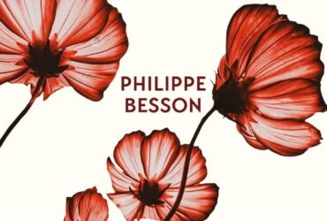 Ceci n'est pas un fait divers, Par Philippe Besson