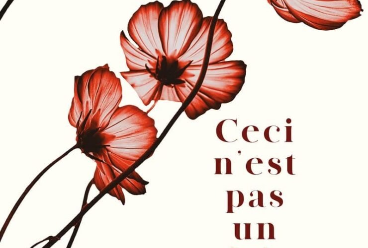 Ceci n'est pas un fait divers, Par Philippe Besson