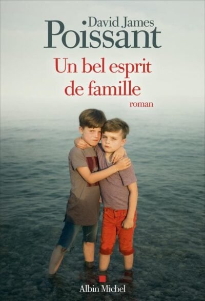 Un bel esprit de famille David James Poissant