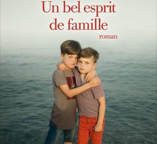 Un bel esprit de famille David James Poissant