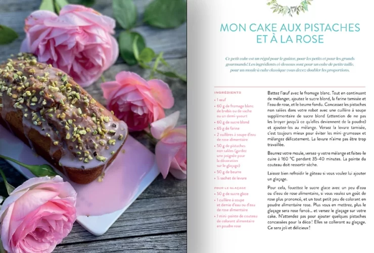 Mes nouvelles recettes faciles et gourmandes de Anne-Charlotte Pontabry