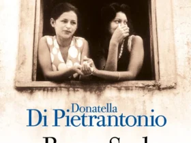 Borgo Sud de Donatella Di Pietrantonio