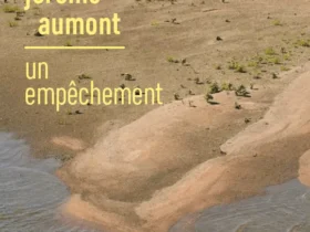 Un empêchement de Jérôme Aumont