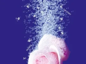 Médecine douce, Nicolas Rey