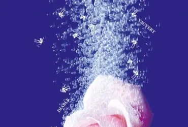 Médecine douce, Nicolas Rey