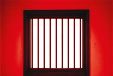 Peines perdues de Nicolas Lebel