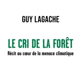 Le cri de la forêt