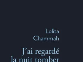 J'ai regardé la nuit tomber