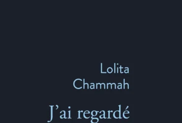 J'ai regardé la nuit tomber