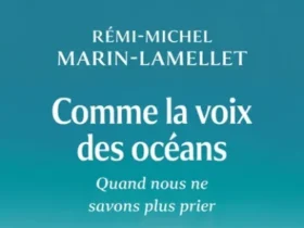 Rémi-Michel Marin-Lamellet