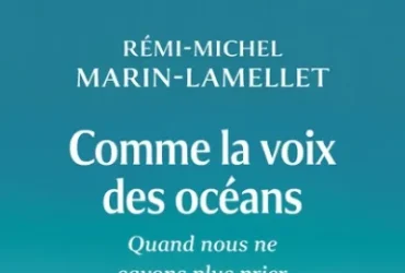 Rémi-Michel Marin-Lamellet