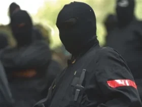 Jo Péraldi, Frédéric Ploquin