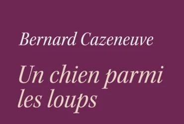 Bernard Cazeneuve