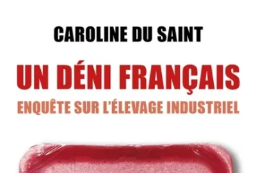 Caroline du Saint