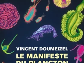 Vincent Doumeizel