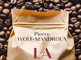 Pierre Wolf-Mandroux