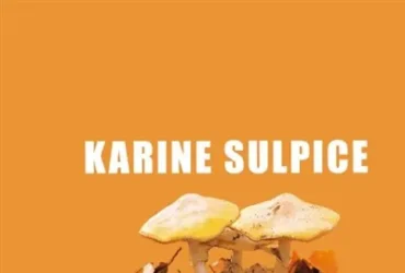 Karine Sulpice